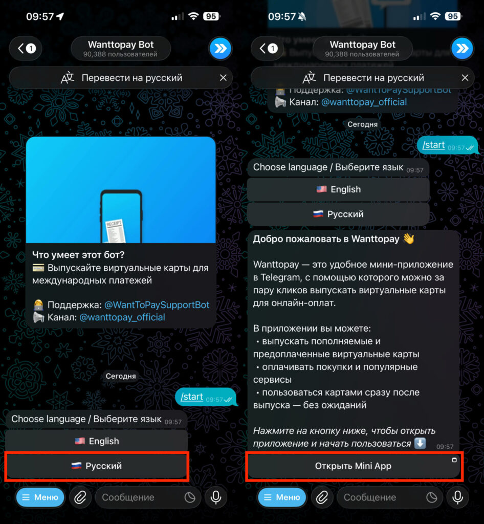 How to Get a Foreign Card. Choose a language and open the mini app. Photo.
