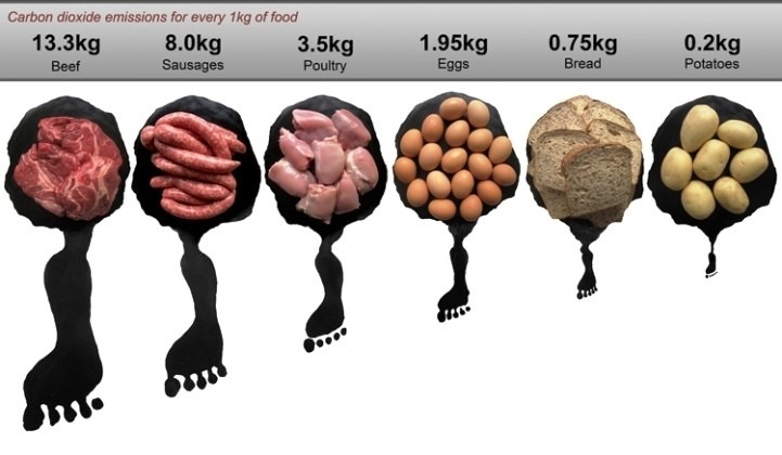 Carbon Footprint of Food: Which Products Cause the Most CO₂ Emissions. Carbon footprint of food products. Image source: winstein.org. Photo.