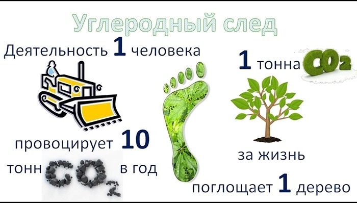 Carbon Footprint of Everyday Purchases and Electricity: How Things and Energy Affect the Climate. Carbon footprint from human activity. Image source: rostmoskva.ru. Photo.