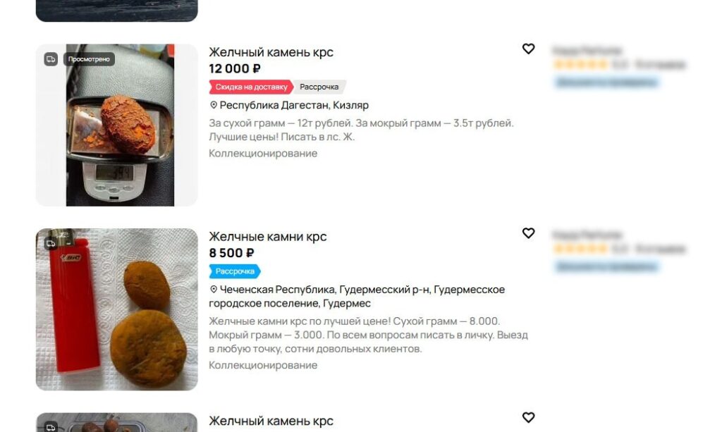 Listings for cattle gallstones. Image source: avito.ru