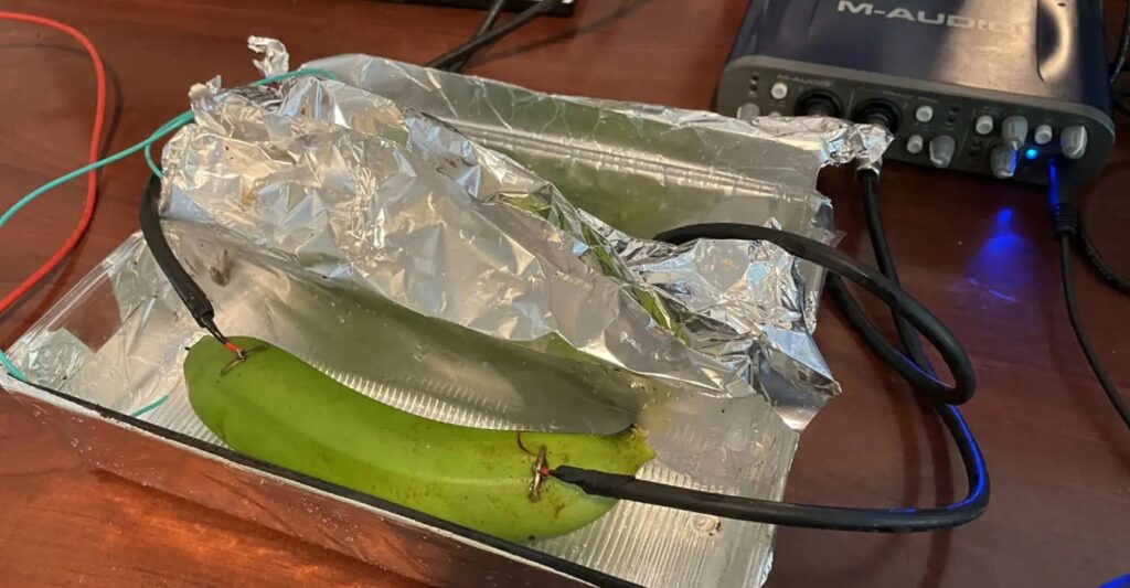 The banana plug got its name from its shape, but in this test everything was literal. The fruit performed no worse than a $500 cable. Image source: zmescience.com