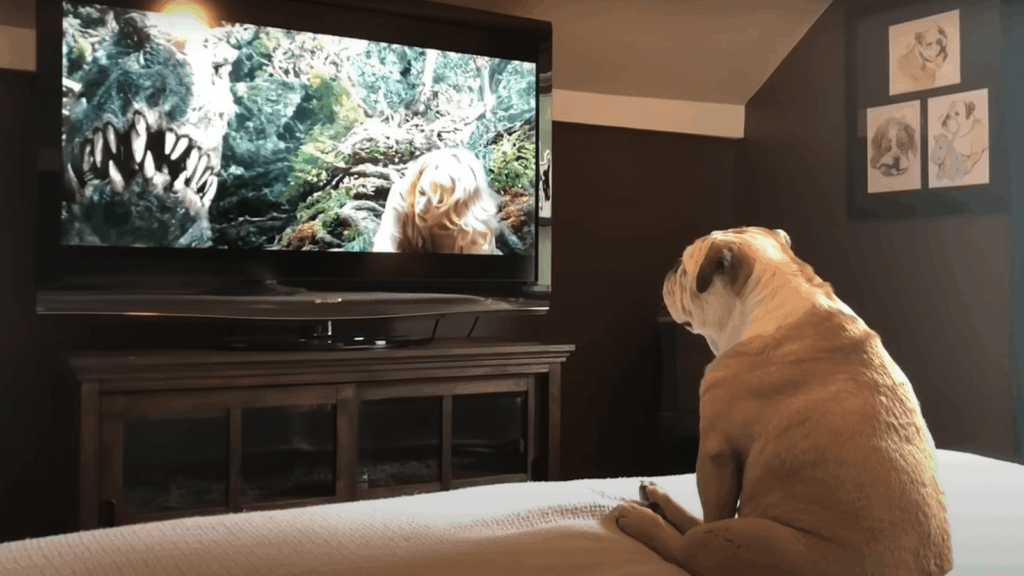 This study not only sheds light on pet psychology but could also help veterinarians develop standardized tests for checking dogs' vision. Image source: messagu.ru