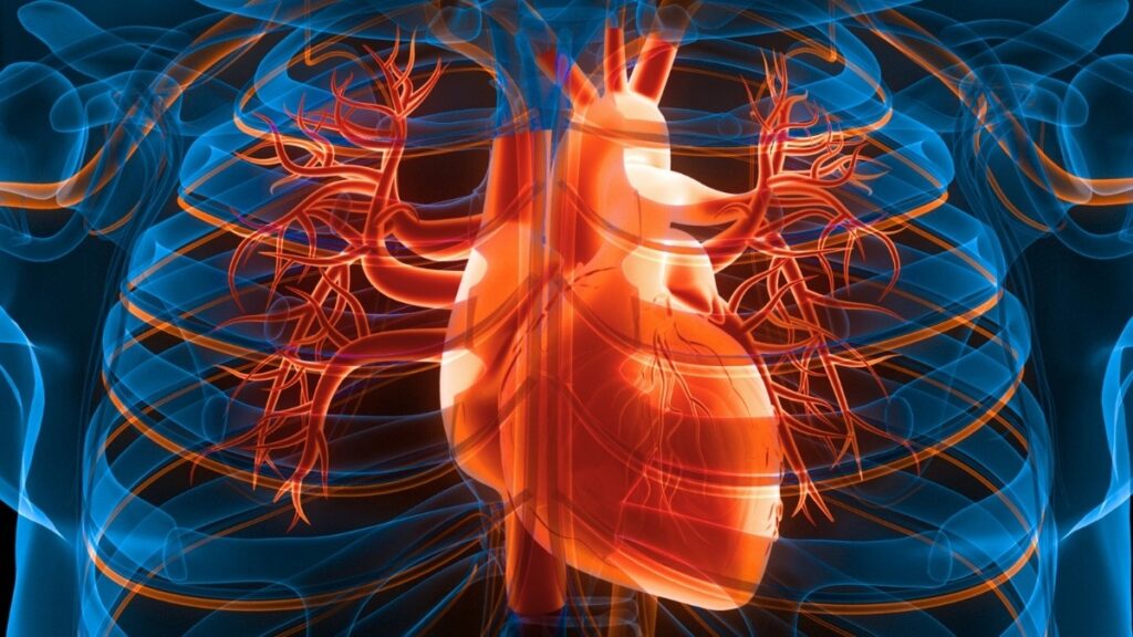 A brisk walk in the park is one of the most accessible ways to support heart health. Photo.