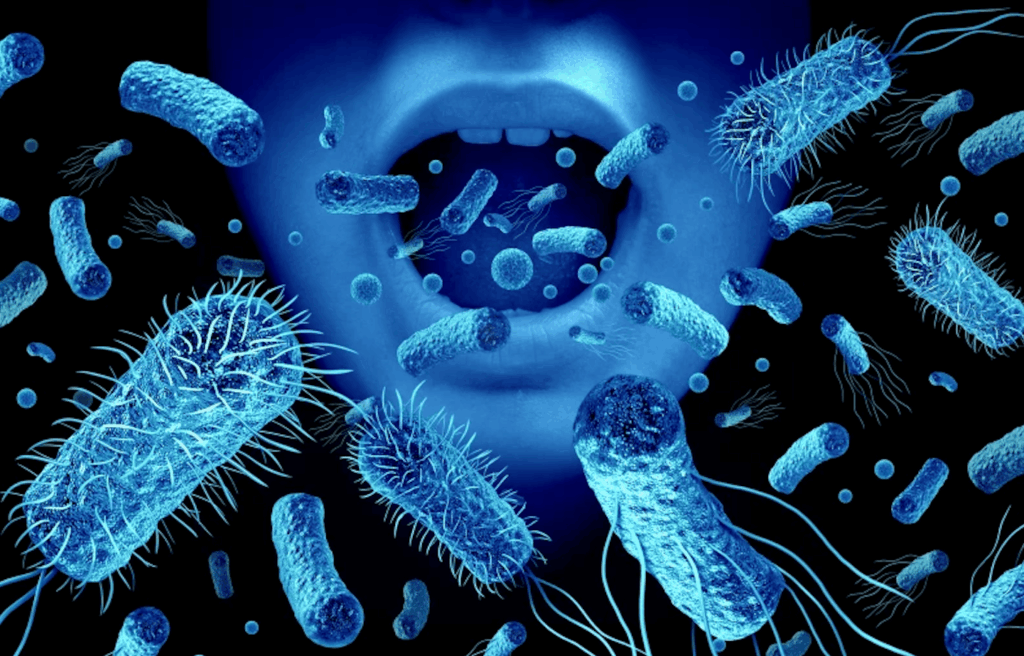 Bacteria in the mouth may signal upcoming obesity. Bacteria in the mouth may indicate that a person is gaining weight. Image: New Atlas. Bacteria in the mouth may signal upcoming obesity. Bacteria in the mouth may indicate that a person is gaining weight. Image: New Atlas. Photo.