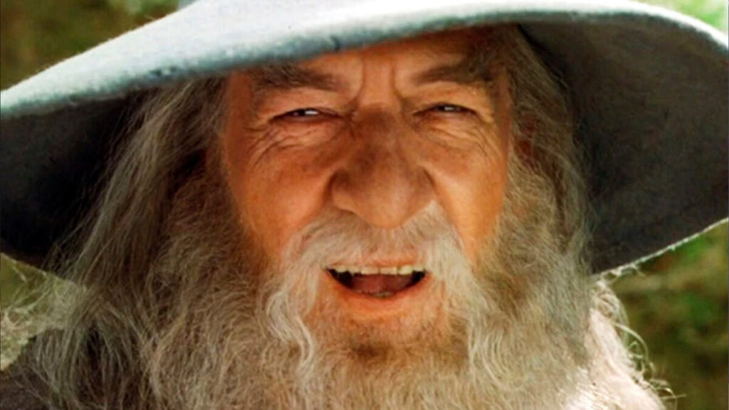 The Cast of the New Lord of the Rings. It's the same Gandalf!
