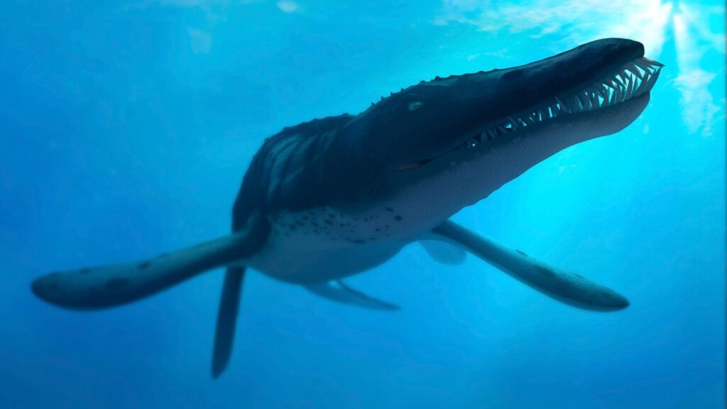 Underwater hydrophones captured the mysterious 'Bloop' in 1997. Photo.