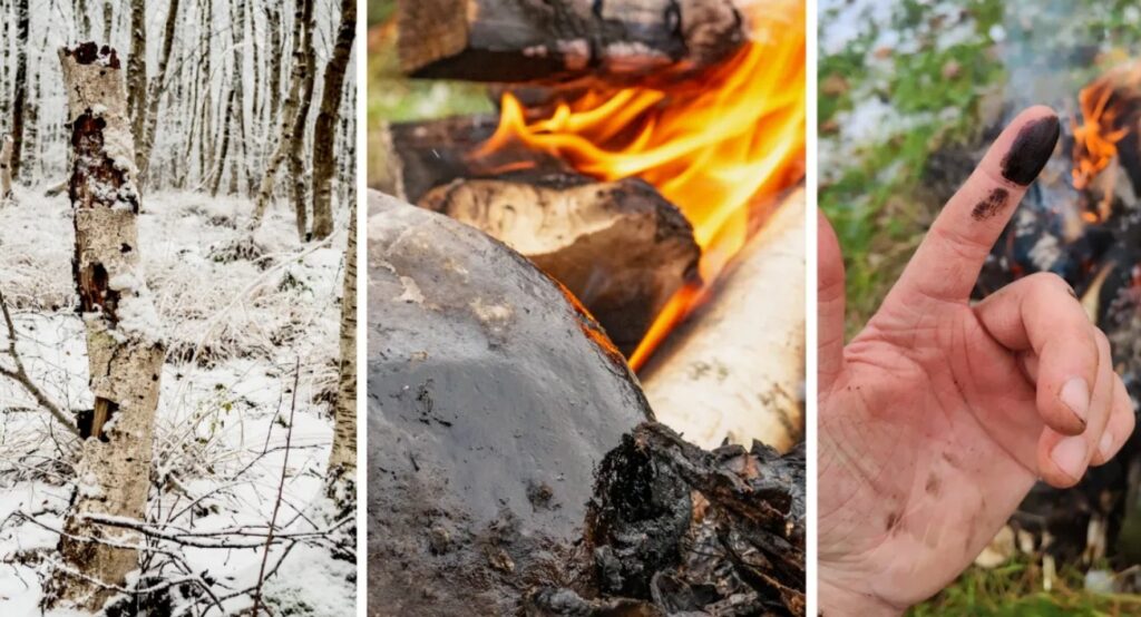 How Scientists Recreated the Ancient Recipe. Birch tar production is a dirty, aromatic, and very ancient process. Image source: popsci.com. Photo.