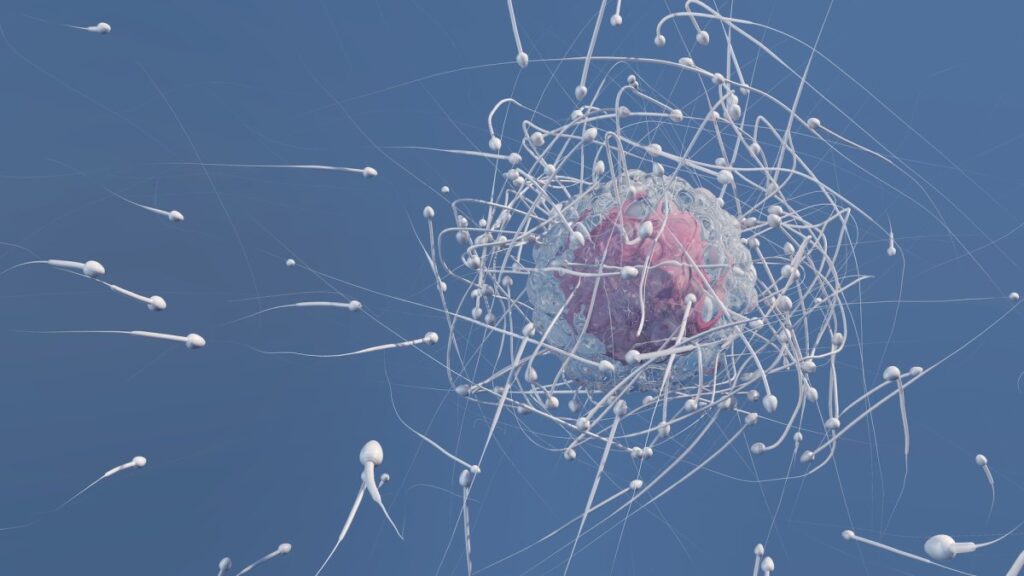 Sperm get lost in microgravity conditions, and this could seriously affect space travel. Image source: popsci.com. Photo.