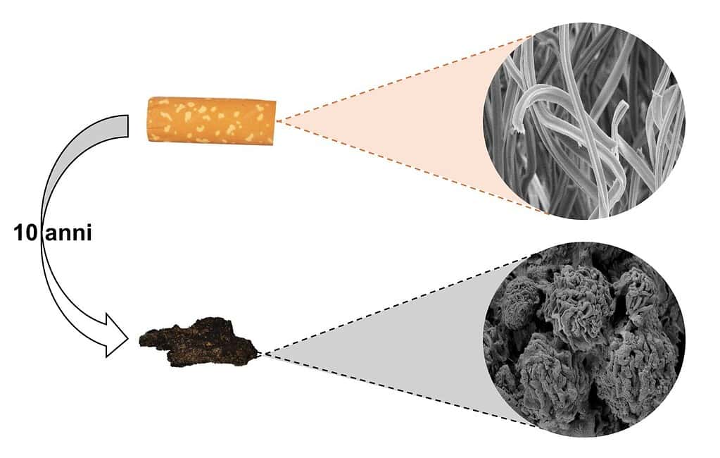 Why cigarettes don't decompose. Cellulose acetate fibers from a cigarette filter under a microscope — a dense bundle of plastic threads. Photo.