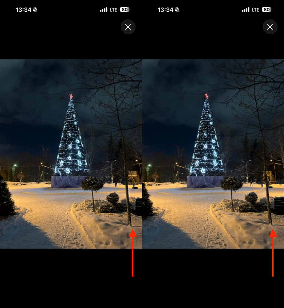 What Are Spatial Scenes on iPhone. You can see by the tree how the background shifts depending on the tilt of the smartphone. Photo.