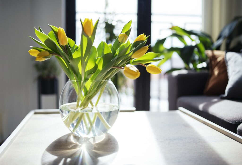 Tulips have a softer stem and more active moisture evaporation, which is why they lose turgor faster — that very "internal pressure" that keeps the flower firm. Image source: novilist.hr