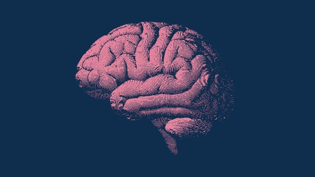 Berries, greens, nuts, and olive oil — the foundation of a diet to slow brain aging. Photo.