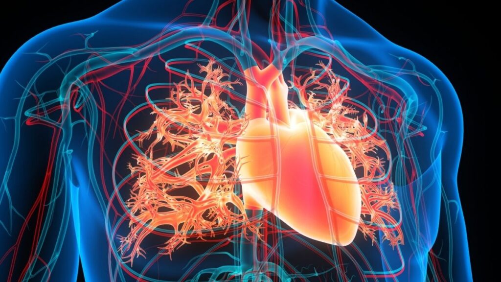 Existing metal implants don't always fit perfectly against the heart walls