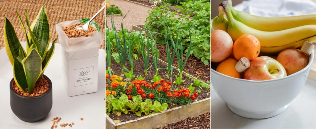 How Wine Corks Help Against Slugs, Ants, and Woodlice in the Garden. Cork usage is multifunctional: from damp spots and slug protection to decor and fighting fruit flies. Image sources: arboretum.ie, gardeningetc.com, thekitchn.com. How Wine Corks Help Against Slugs, Ants, and Woodlice in the Garden. Cork usage is multifunctional: from damp spots and slug protection to decor and fighting fruit flies. Image sources: arboretum.ie, gardeningetc.com, thekitchn.com. Photo.