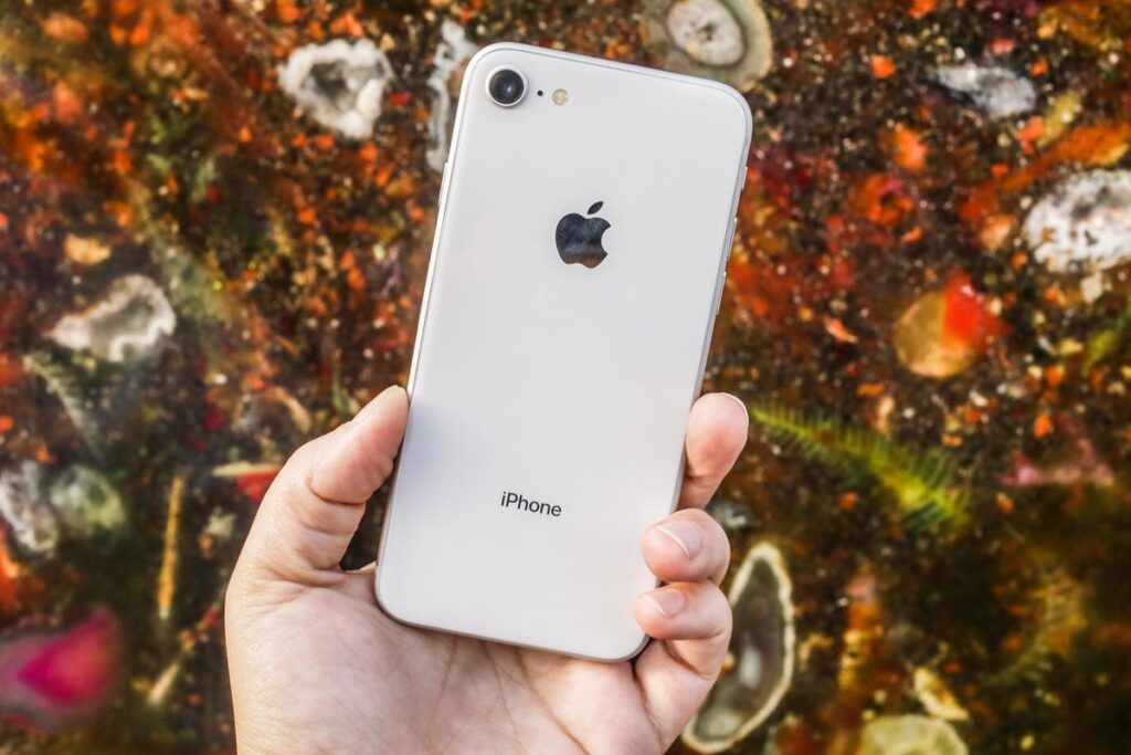 Starting with iPhone 8, Apple smartphones support FeliCa regardless of the country of purchase