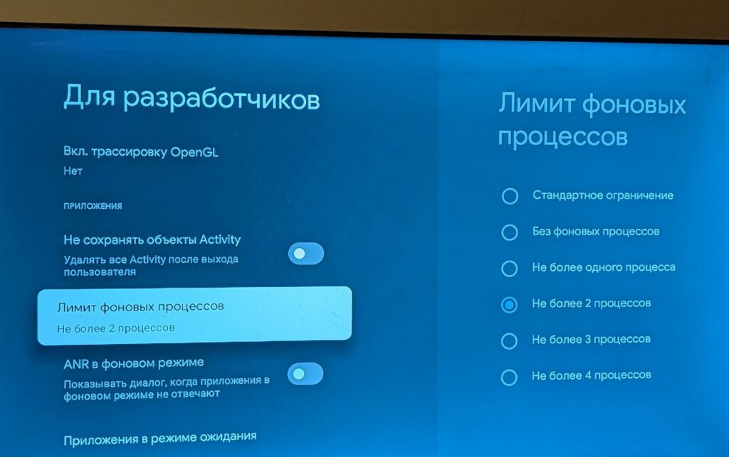 The Developer Options menu on Android TV has many interesting features. Photo: comss.one