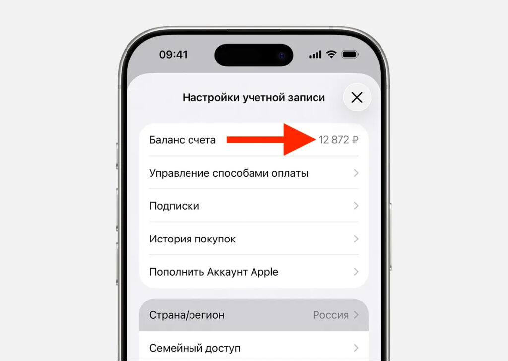 Family members cannot spend funds from the organizer's Apple ID balance