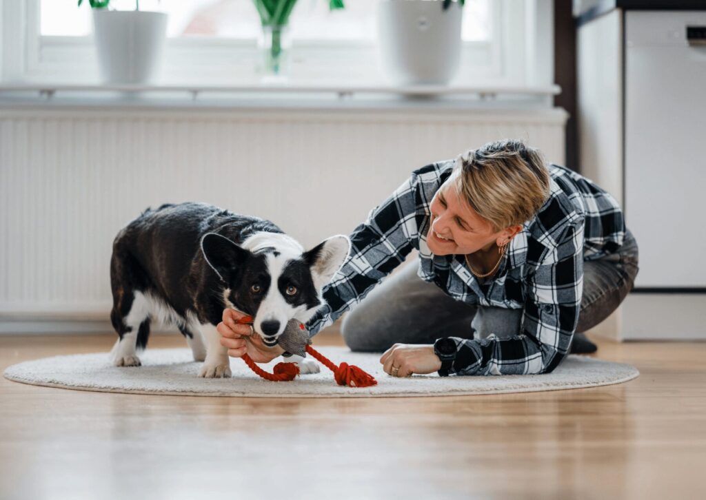 Researchers observed interactions between dogs and their owners
