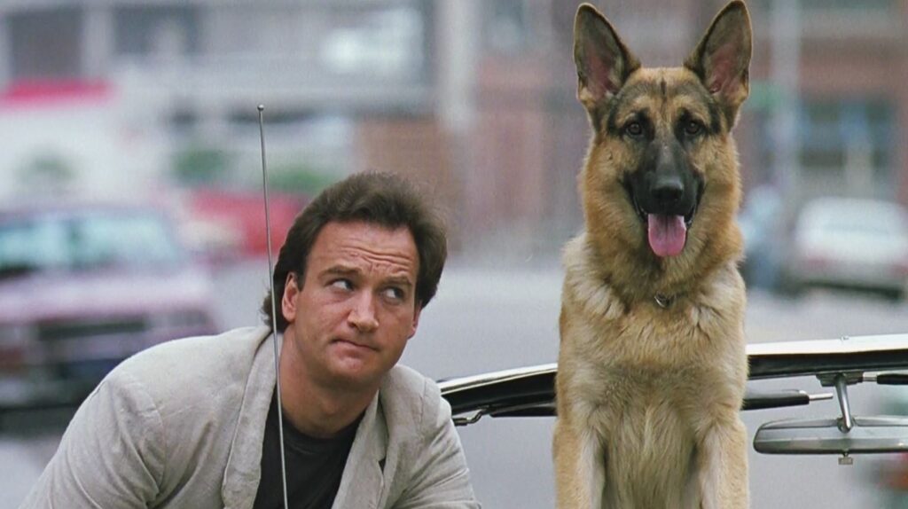 If you love dogs and police movies, this is the best pick for the evening! Photo: afisha.ru