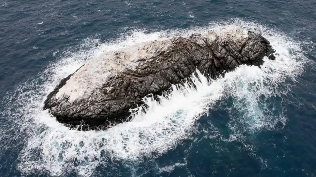 View of the newly discovered and still unnamed island in the Weddell Sea. Photo.
