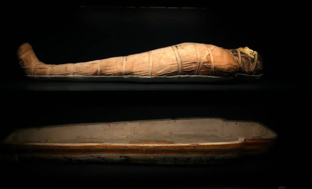 A new method of computed tomography allows for more detailed study of Egyptian mummies. Photo.