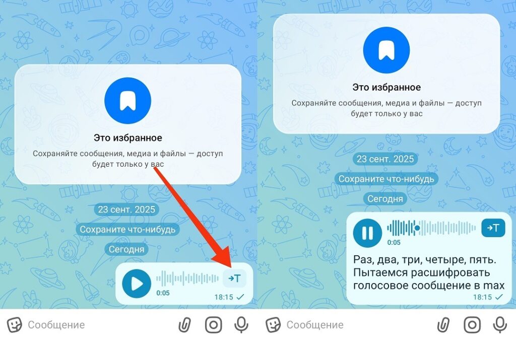 This is how you can transcribe a voice message in any chat