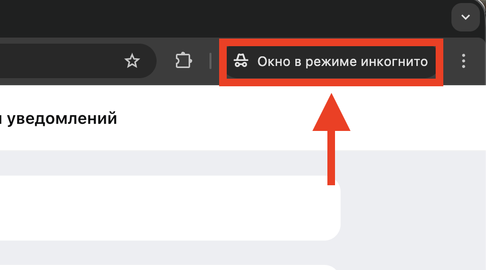 How to safely use MAX on someone else's computer. Photo.