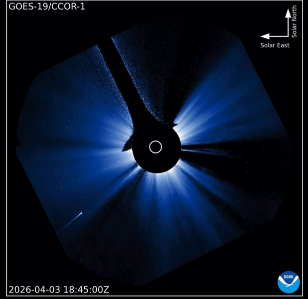 Comet C/2026 A1 April 3-4