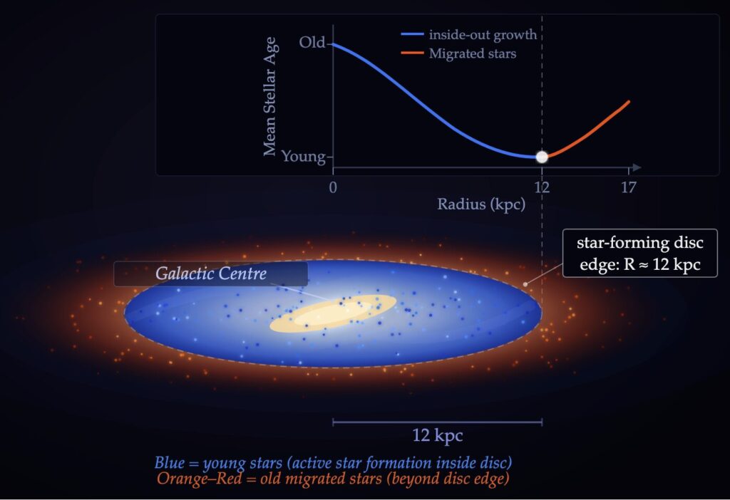 Star ages on the disk decrease with distance from the center until star formation ceased and increasingly distant stars began migrating.