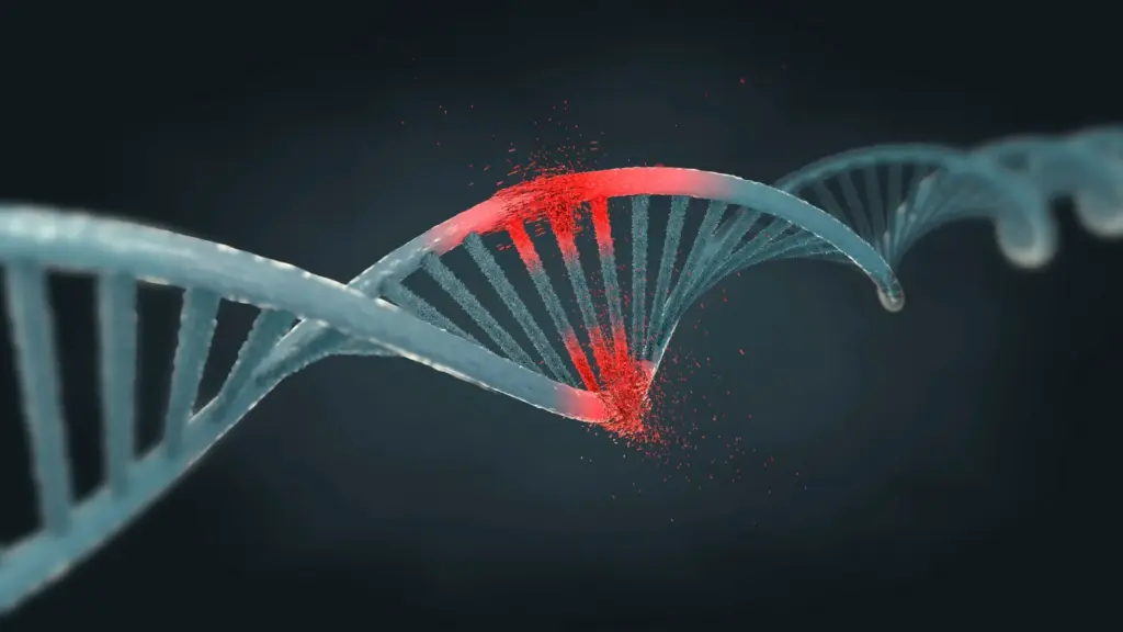 Changes in a specific DNA region of female mice altered their development so that they formed male sex organs. Photo.