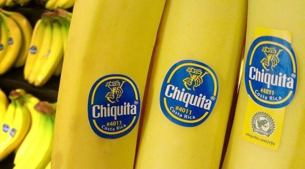 PLU code 4011 designates bananas. Image source: earthrights.org. Photo.