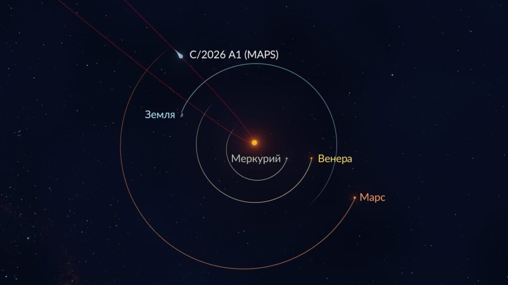 Orbit of Comet C/2026 A1 (MAPS). Image source: starwalk.space. Photo.