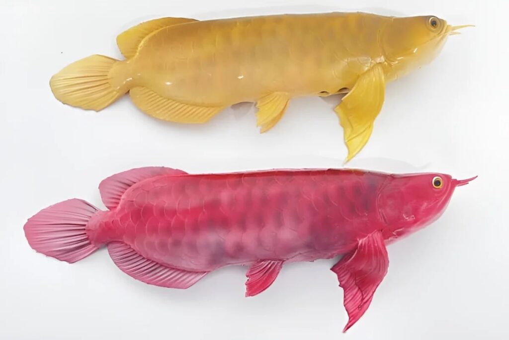 A robotic aquarium can become an interior element without the hassle of maintenance. Photo.