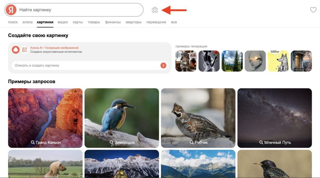 The search button is right here
