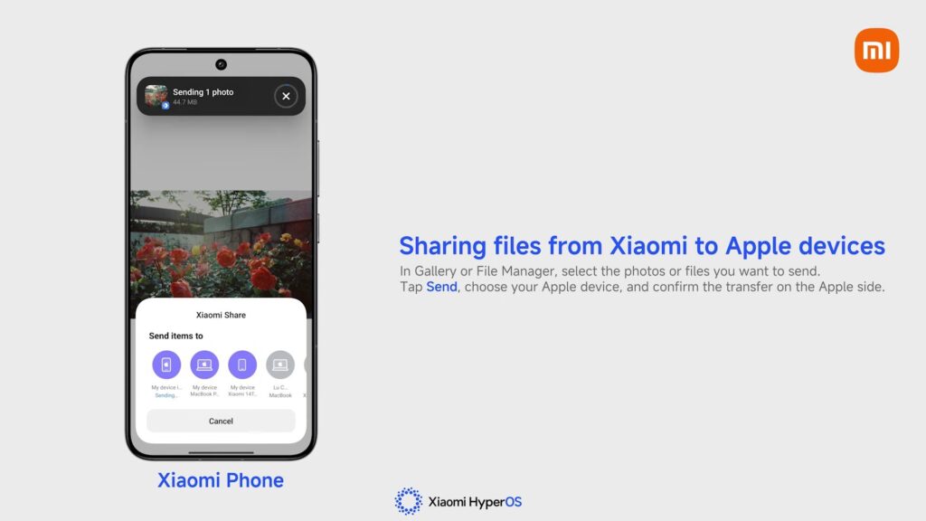 The feature is also available through the Share button. Image: Xiaomi. Photo.
