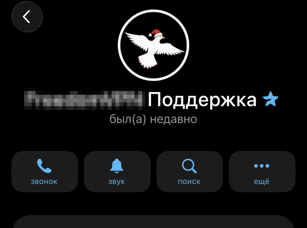 Star icon next to a name in Telegram. Many organizations get Premium, and a star appears. Photo.