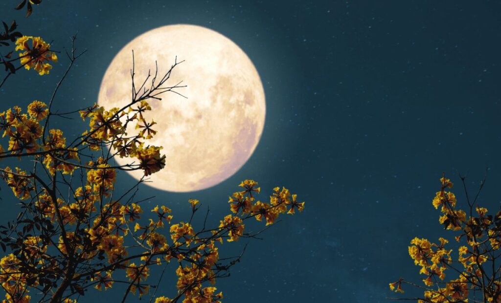 Scientists explain why the double full moon in May 2026 is a rare phenomenon