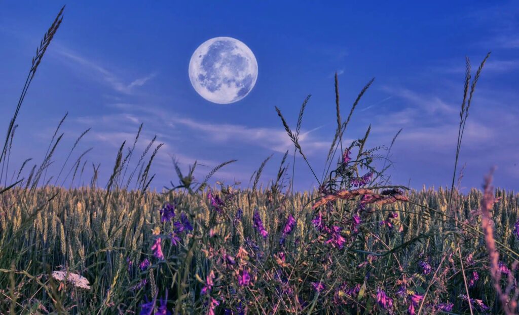 The May full moon coincides with peak spring blooming in the Northern Hemisphere. Image source: dailygalaxy.com.