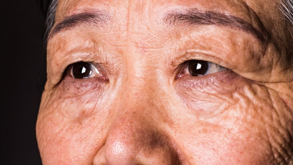 The retina is an extension of the brain available for direct observation. Image source: Science Alert. Photo.