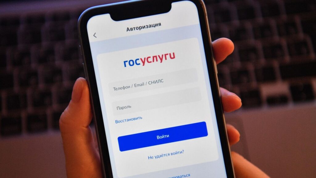 Imagine going to Gosuslugi to book a doctor's appointment and it doesn't work. Panic. Image: deita.ru
