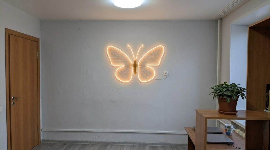 Wingspan is about forty centimeters — in the dark it looks unreal. Photo.