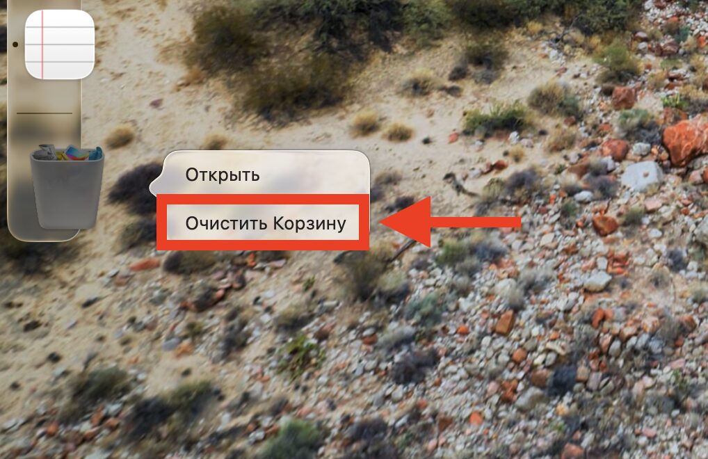 Deleting apps on Mac via Applications folder. Then empty the Trash itself. Photo.