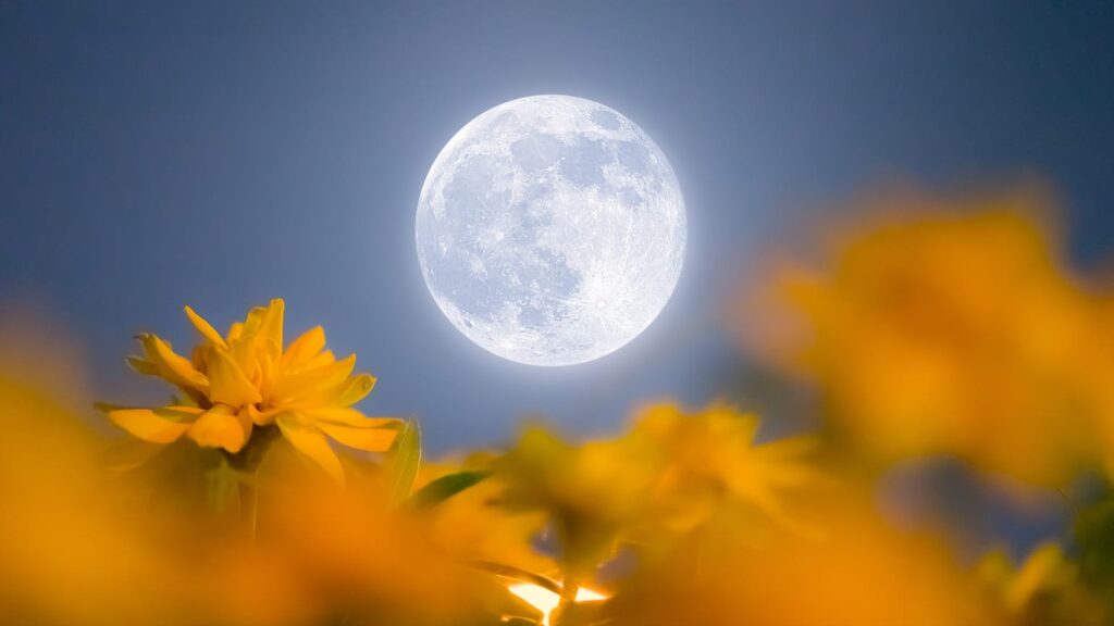 The Flower Moon will shine in the constellation Libra. Image source: starwalk.space. Photo.