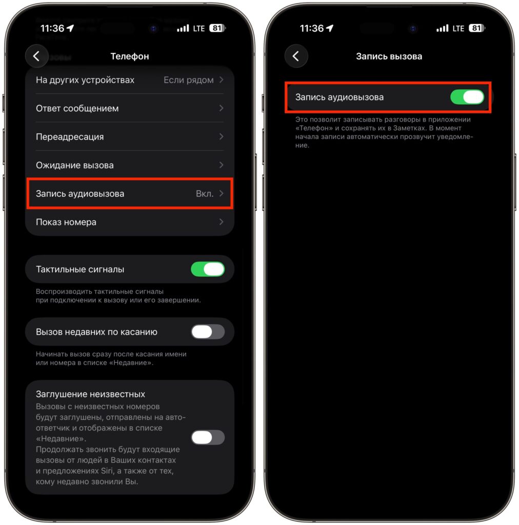 How to enable call recording on iPhone. The recording itself is activated in iPhone settings. Photo.
