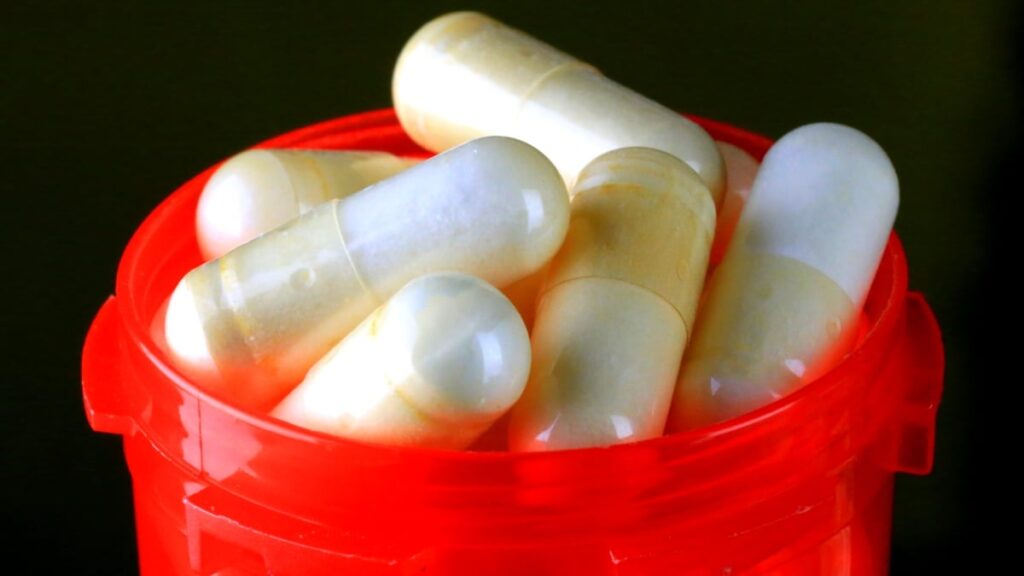 What are you actually swallowing when you take probiotics? An honest answer