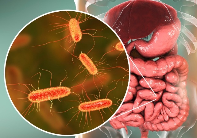 The microbes in each person's gut make up their individual microbiome.