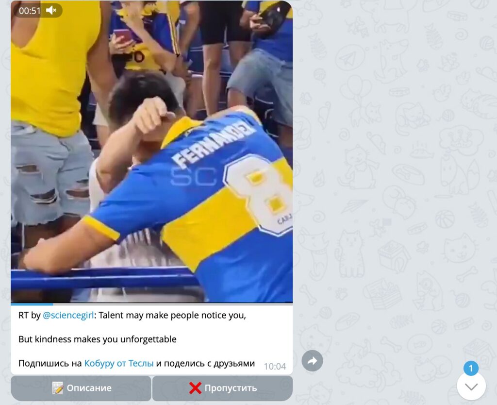 This is how the bot sends me videos
