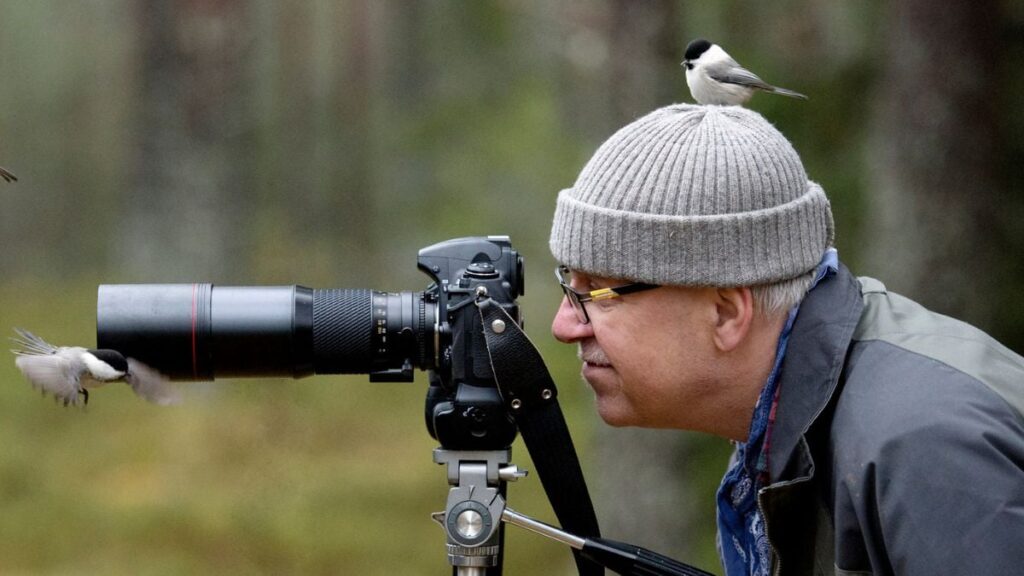 Urban birds fear women more than men — scientists have finally figured out why