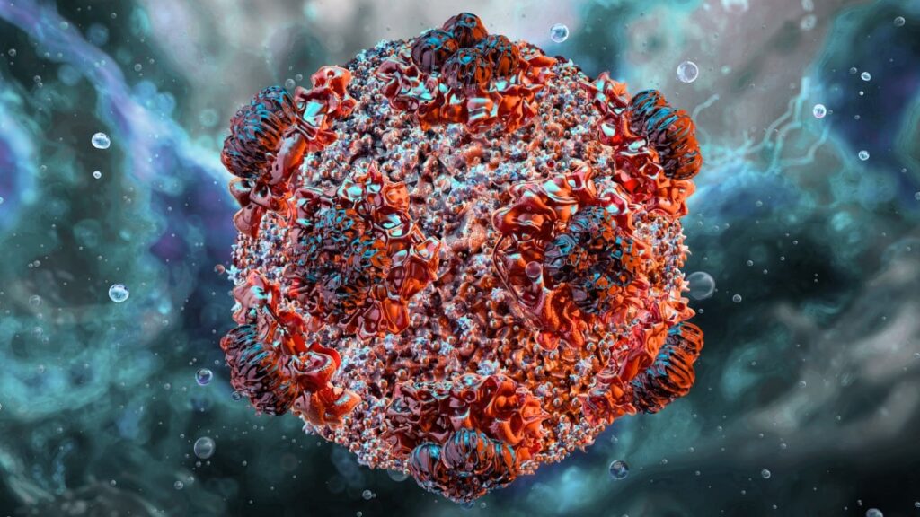 Hantavirus: everything an adult needs to know about the deadly virus