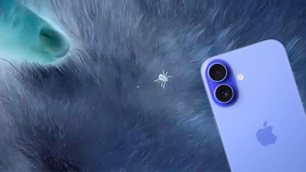 How to find a tick on your dog using an iPhone — a TikTok method that actually works